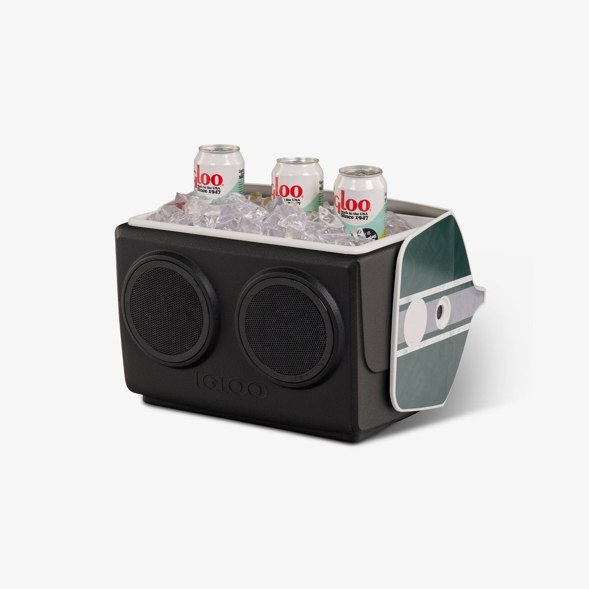 michigan-state-university-kooltunes-m9 00027730-P1.jpg