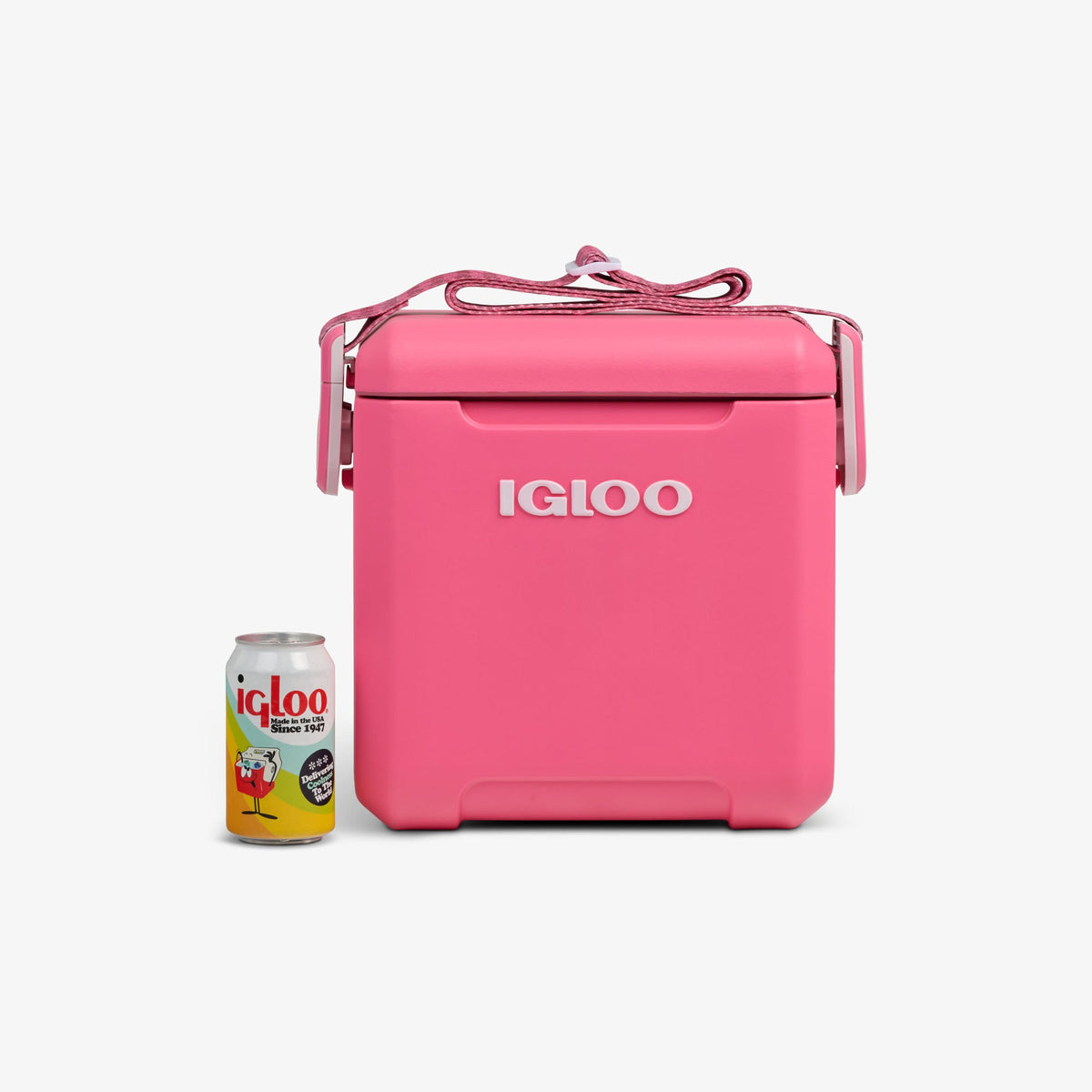 tag-along-too-remix-cooler-u0 00033199-P_861a5cd2-f15c-4217-a471-e33cc3890d9e.jpg